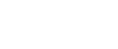 wizerp